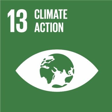 Goal 13: Take urgent action to combat climate change and its impacts Image