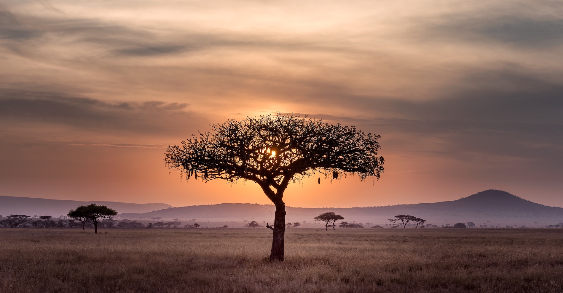 Tanzania Banner