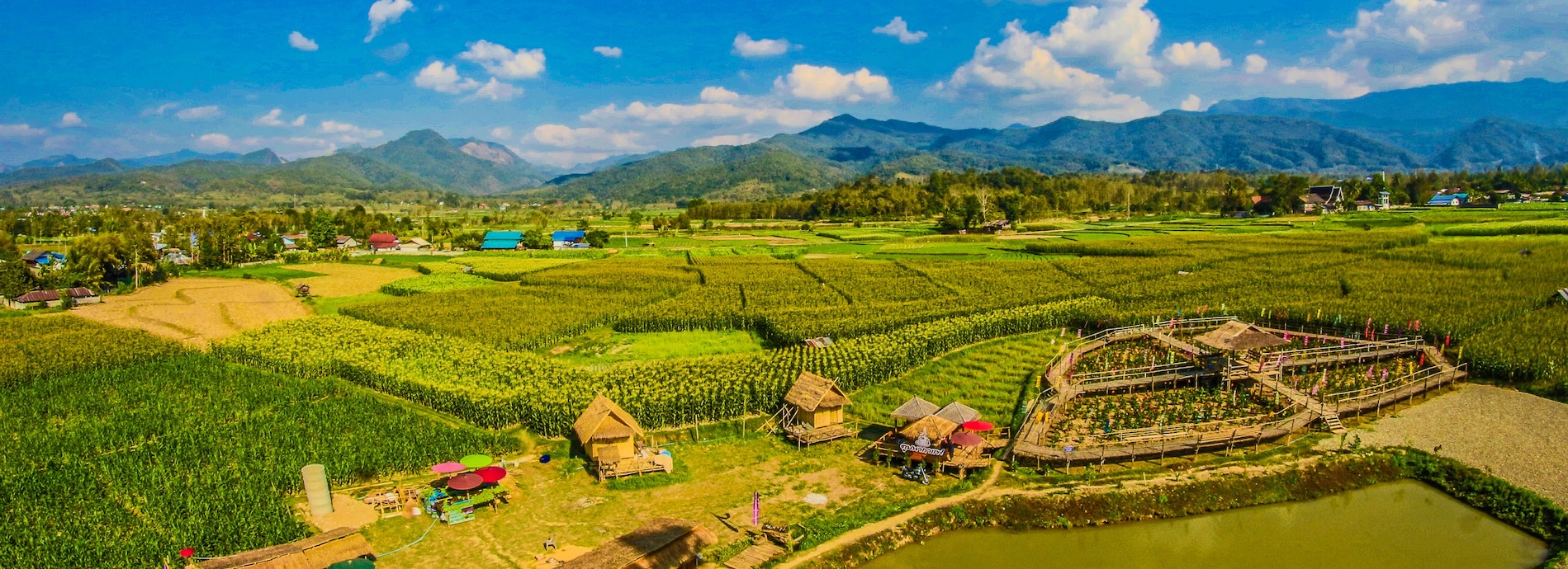 Thailand Environment Internship Banner