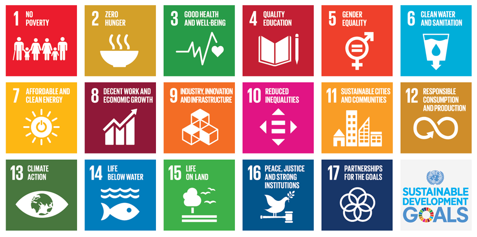 sustainable development goals, sdgs, international development charity
