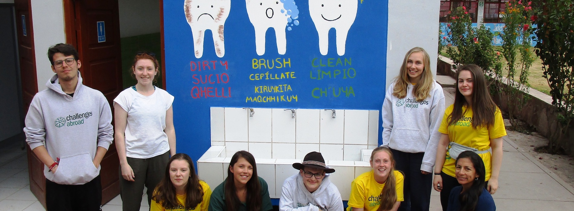 Peru Health Promotion Challenge Banner