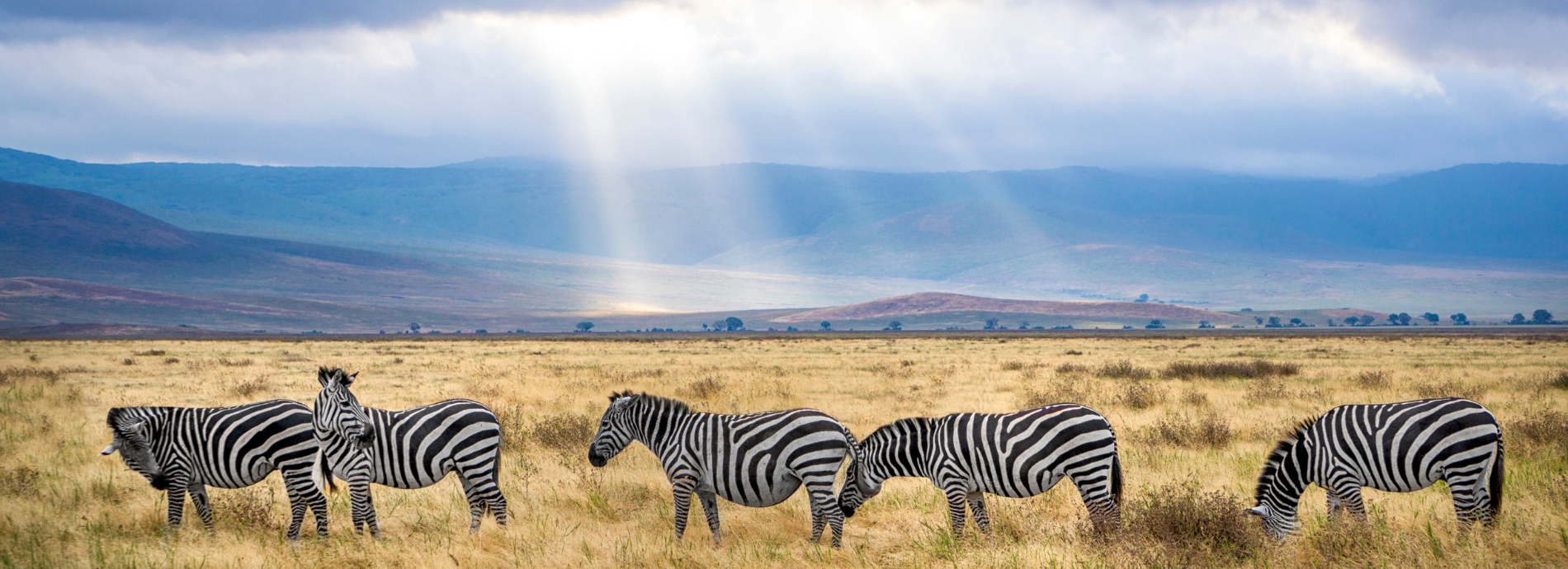Why Tanzania should be on your bucket list! Banner