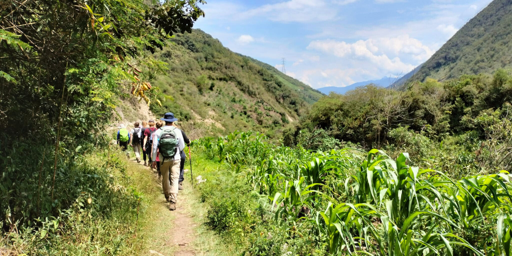 Environment & Climate Action Listing Image