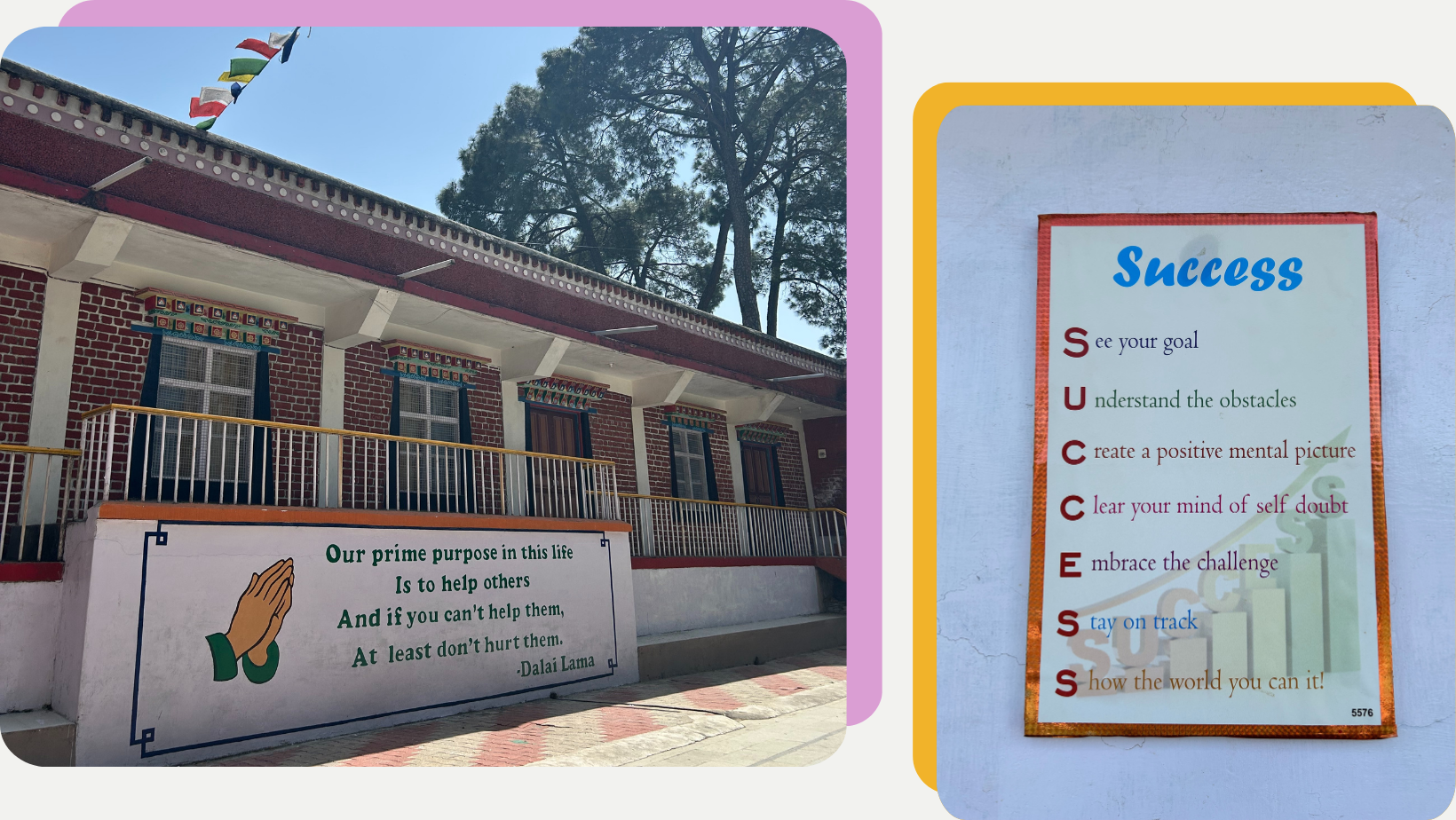 student volunteer options in india