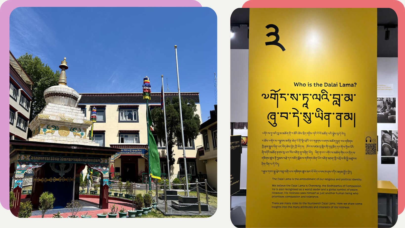 cultural immersion tibetan government